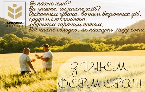 blog-item-8