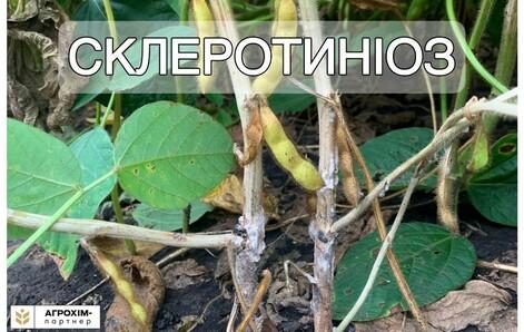 blog-item-2
