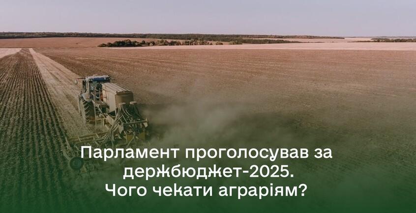 novina-240
