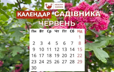 blog-item-0