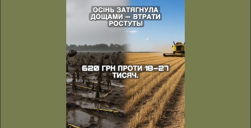 novina-389