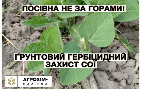 blog-item-0