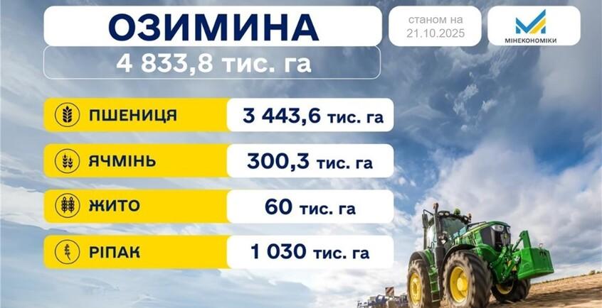 novina-391