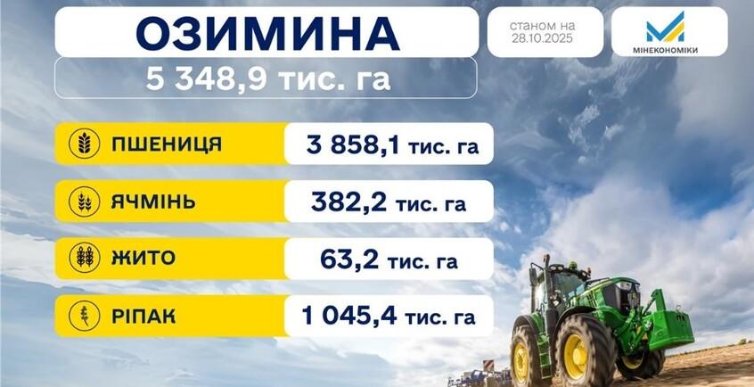 novina-394