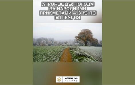 blog-item-0