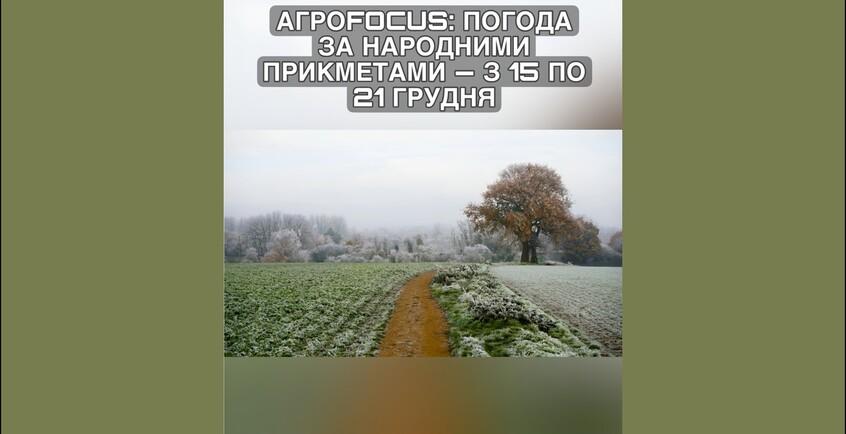 novina-417