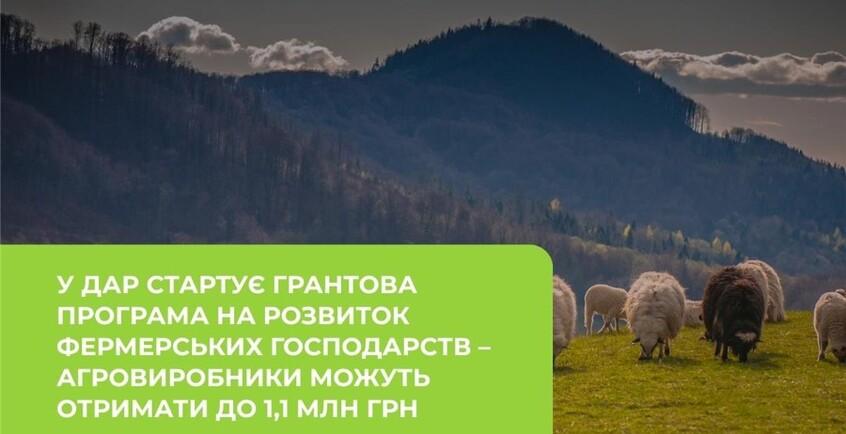 novina-469