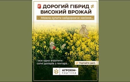 blog-item-1782992471