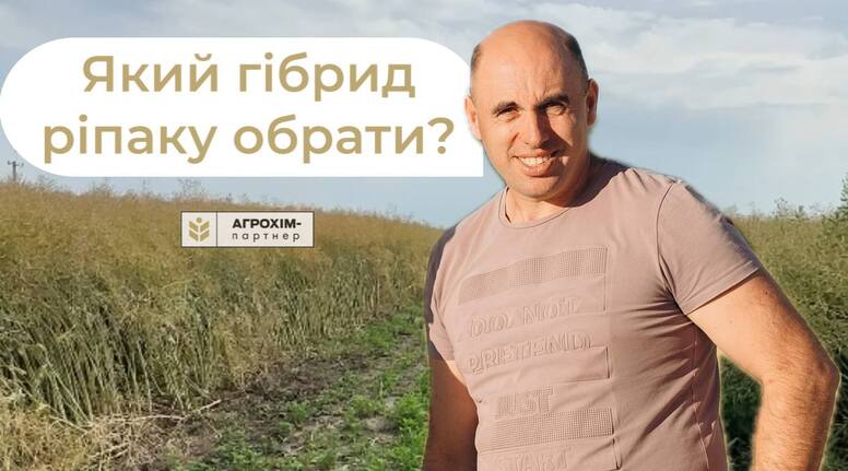 video-poster-685